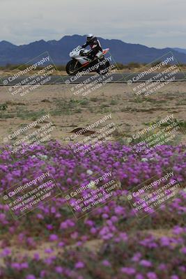 media/Jan-14-2023-SoCal Trackdays (Sat) [[497694156f]]/Turn 14 Exit Bloomig (145pm)/